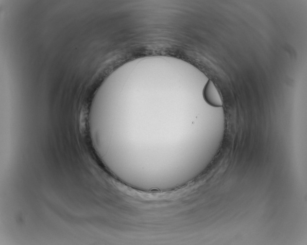 X0000112110038200908041200