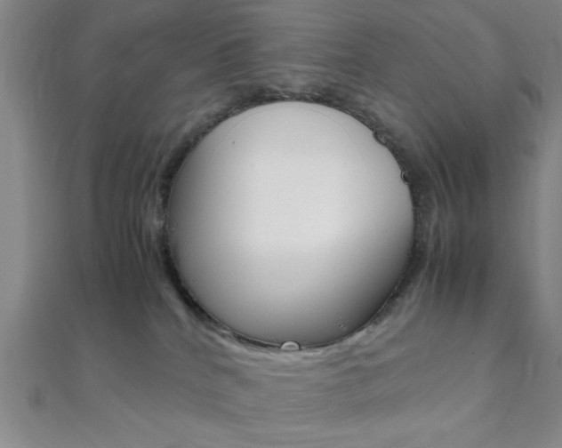 X0000112110040200908041200