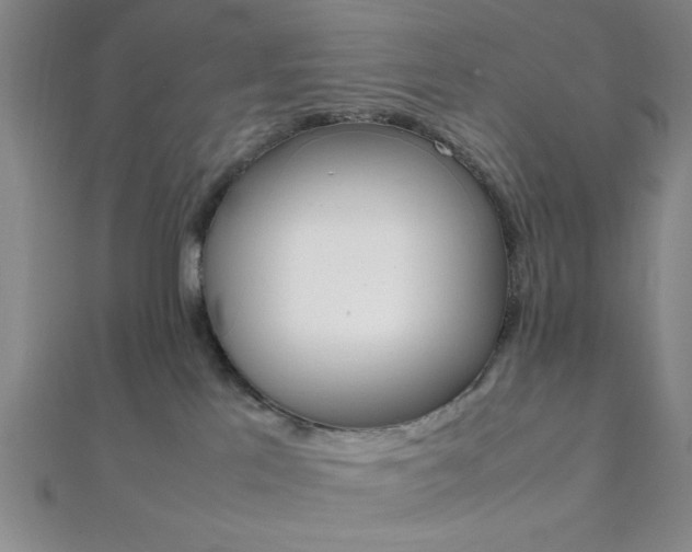 X0000112110041200908041200