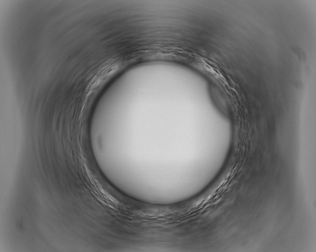 X0000112110049200908041200