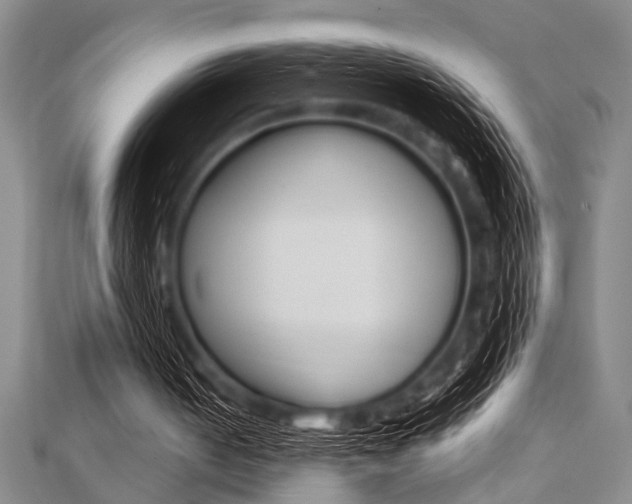 X0000112110050200908041200