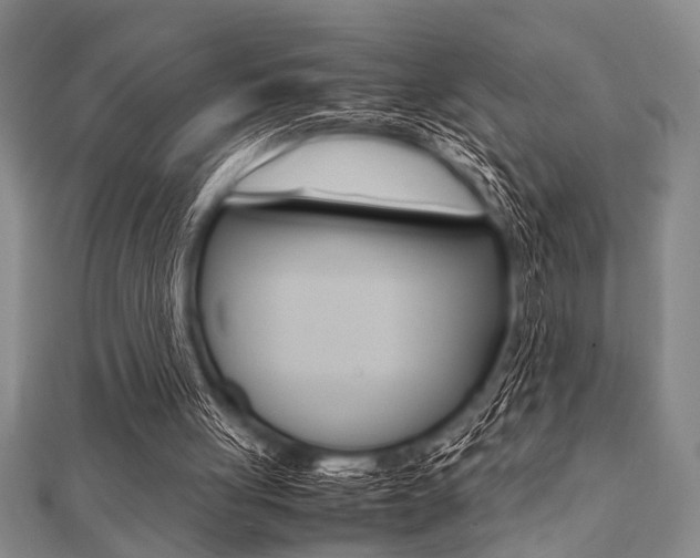 X0000112110051200908041200