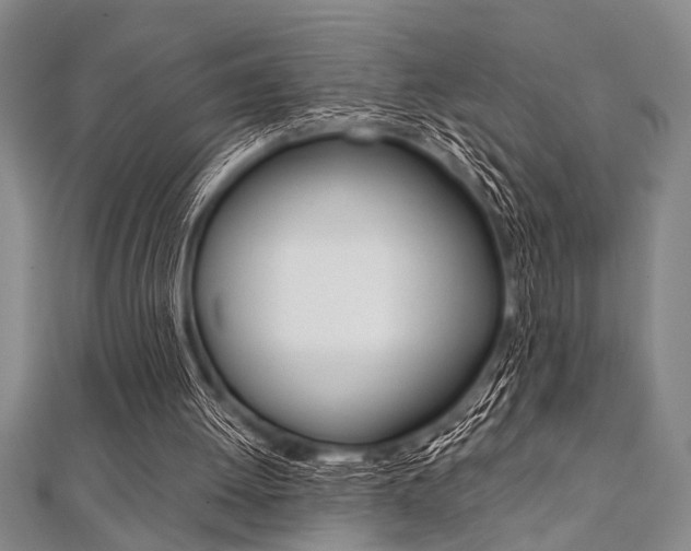 X0000112110052200908041200
