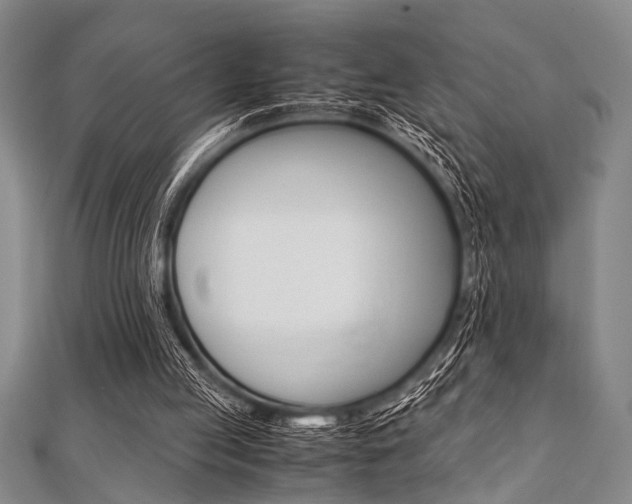 X0000112110053200908041200