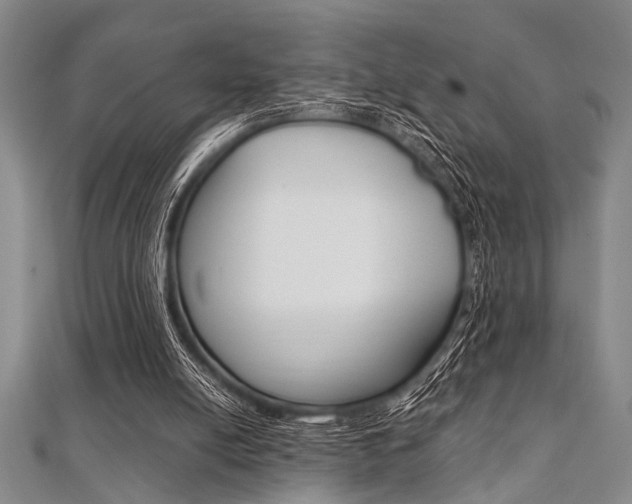 X0000112110054200908041200