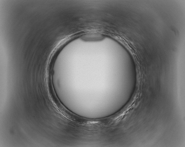 X0000112110055200908041200