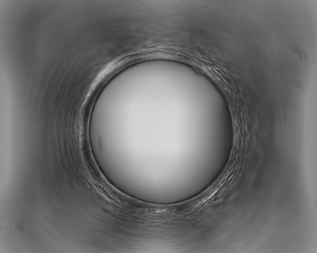 X0000112110056200908041200