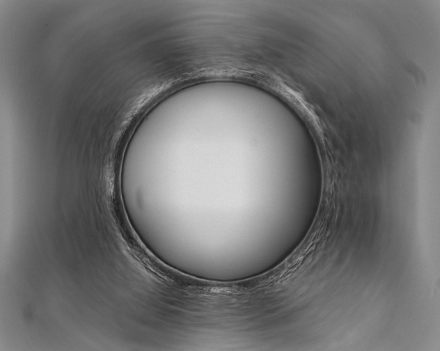 X0000112110060200908041200