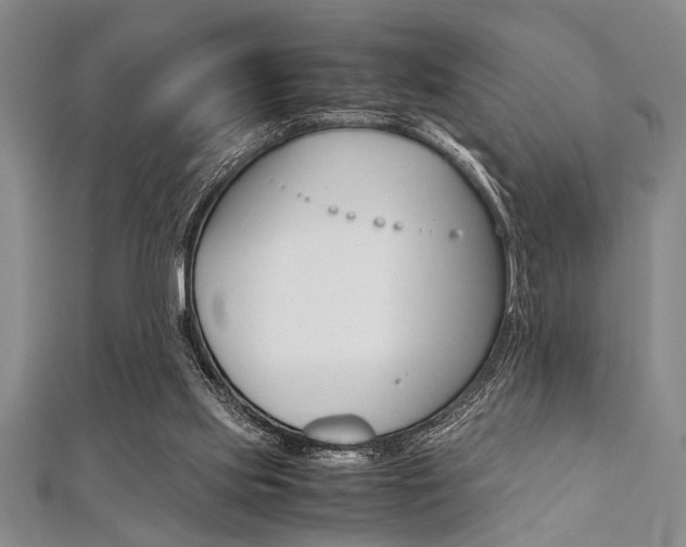 X0000112110061200908041200