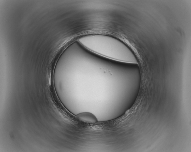 X0000112110062200908041200