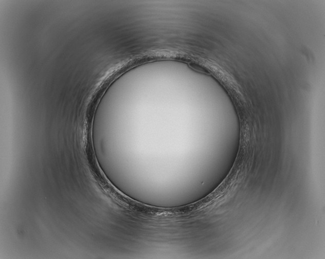 X0000112110064200908041200