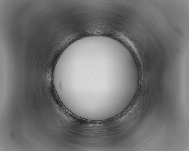 X0000112110065200908041200