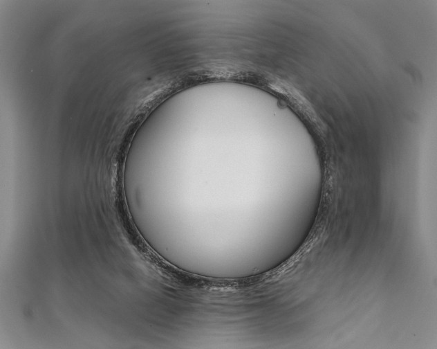 X0000112110066200908041200