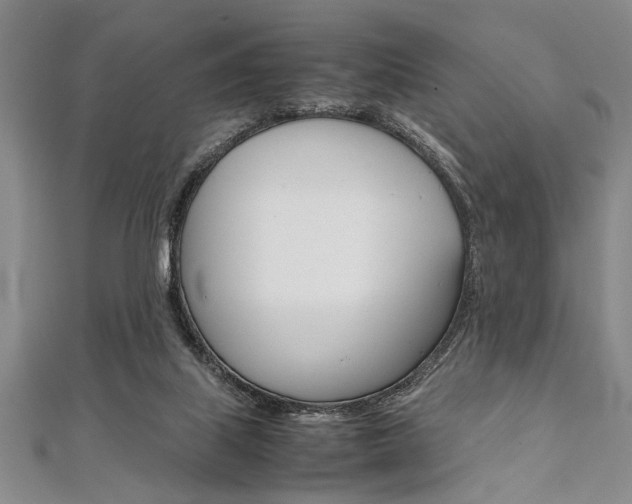 X0000112110067200908041200