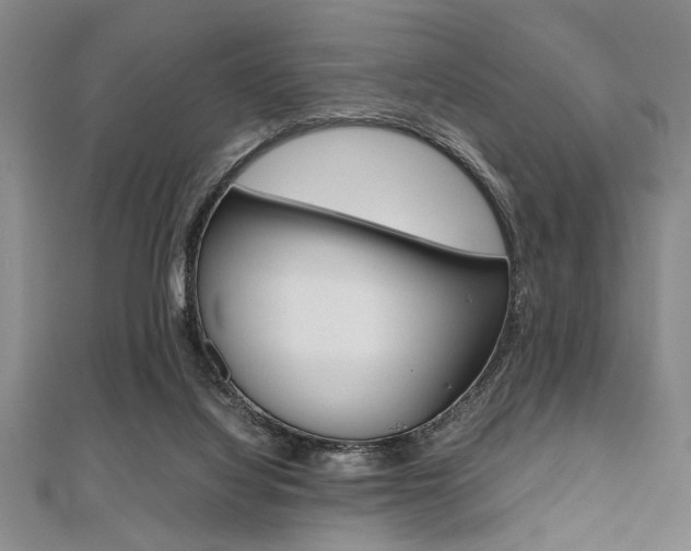 X0000112110068200908041200