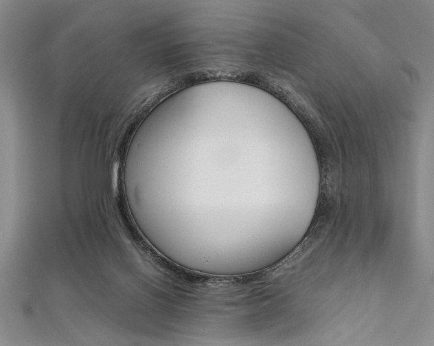 X0000112110070200908041200