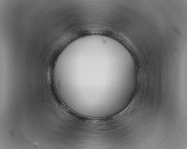 X0000112110074200908041200