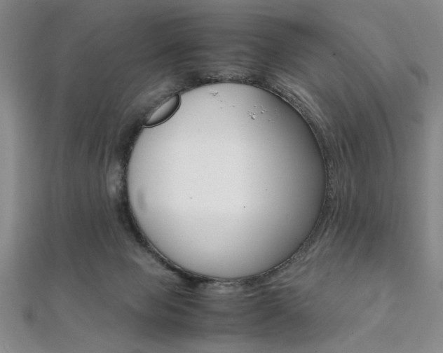 X0000112110077200908041200