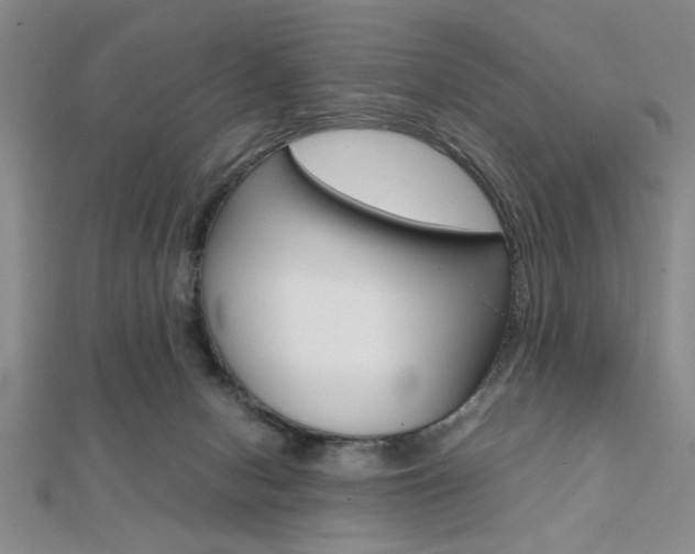 X0000112110078200908041200