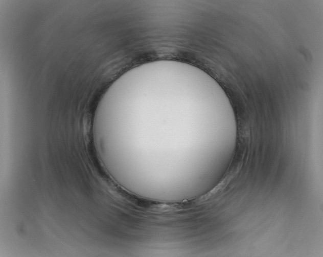 X0000112110082200908041200