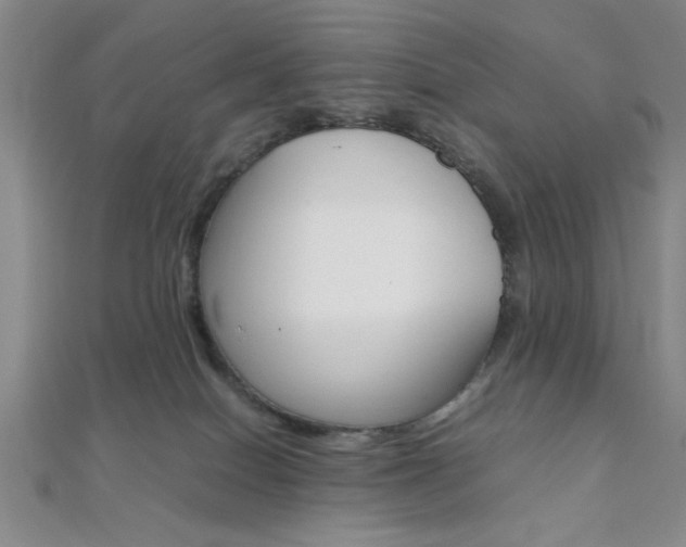 X0000112110086200908041200