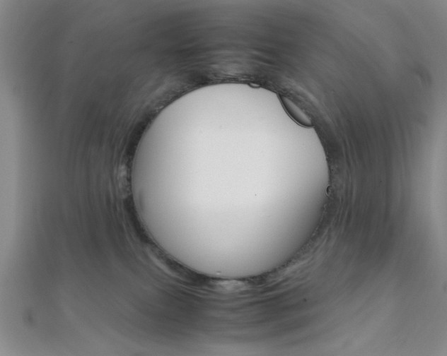 X0000112110087200908041200