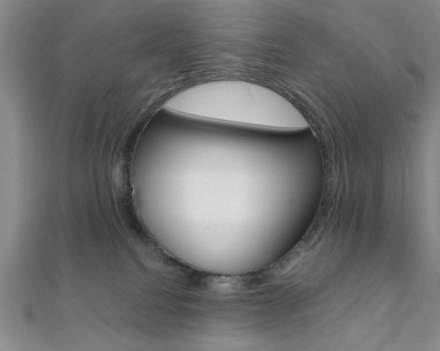 X0000112110088200908041200