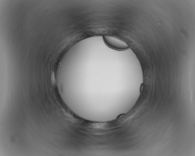 X0000112110089200908041200