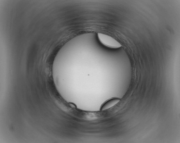 X0000112110091200908041200