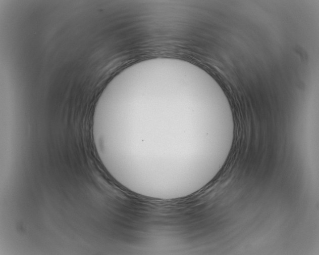X0000112110092200908041200