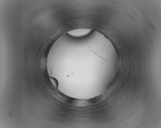 X0000112110093200908041200
