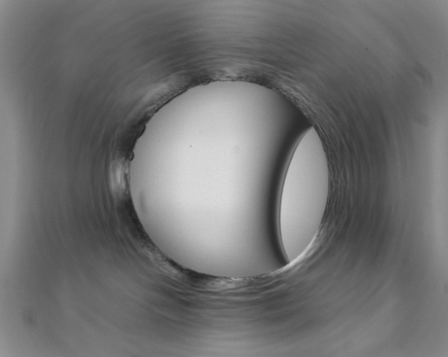 X0000112110094200908041200