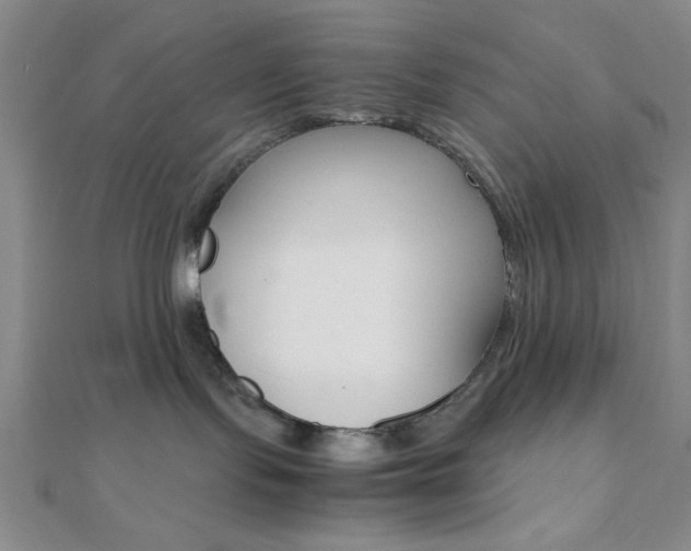 X0000112110095200908041200
