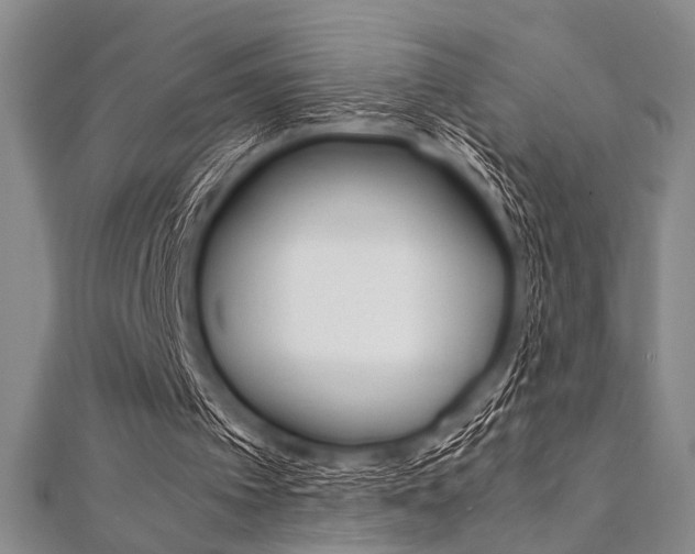 X0000112110097200908041200