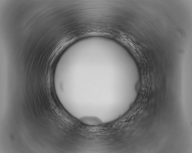 X0000112110098200908041200