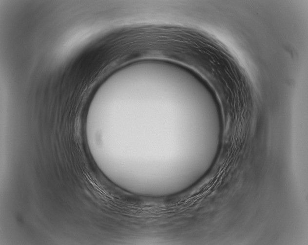 X0000112110099200908041200