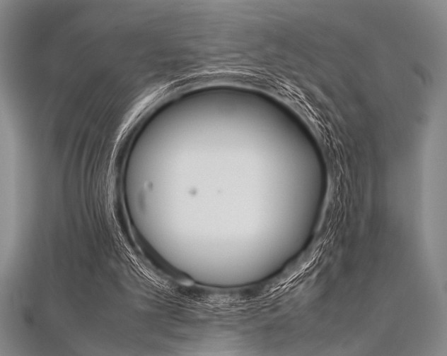 X0000112110101200908041159