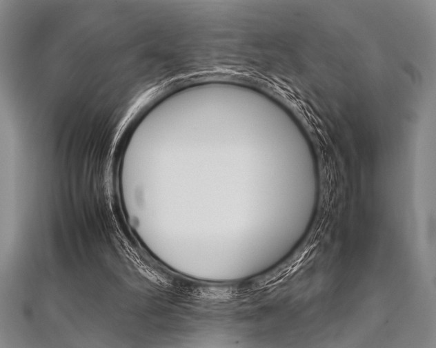 X0000112110102200908041159