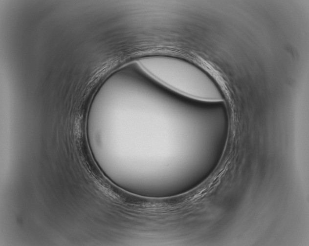 X0000112110105200908041159