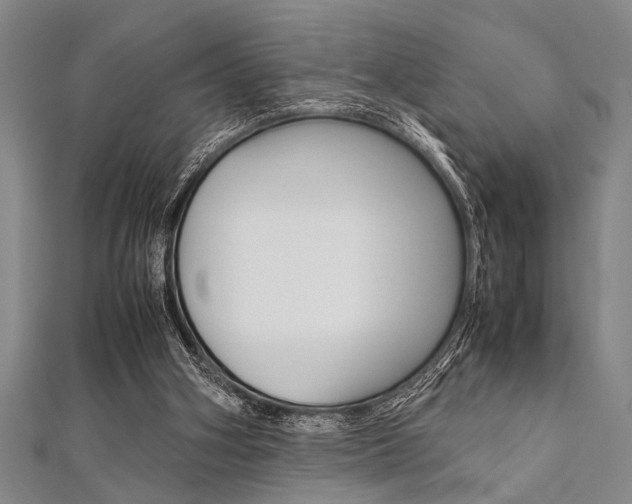 X0000112110106200908041159
