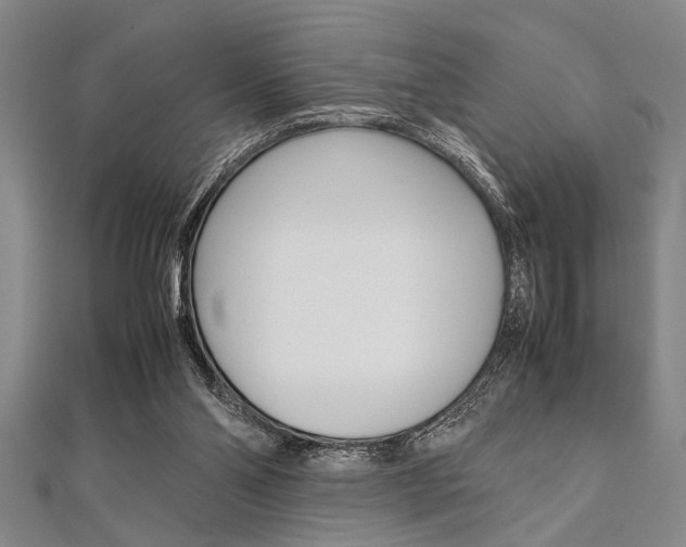 X0000112110110200908041159