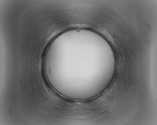 X0000112110111200908041159