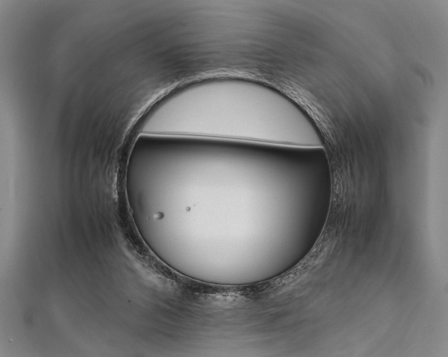 X0000112110112200908041159