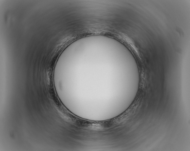 X0000112110114200908041159