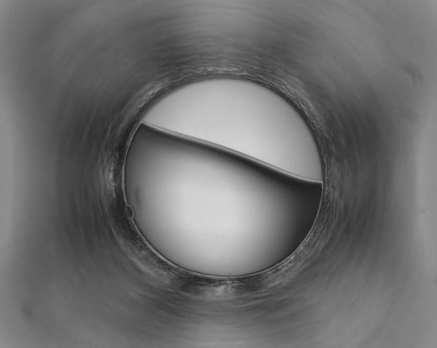 X0000112110116200908041159