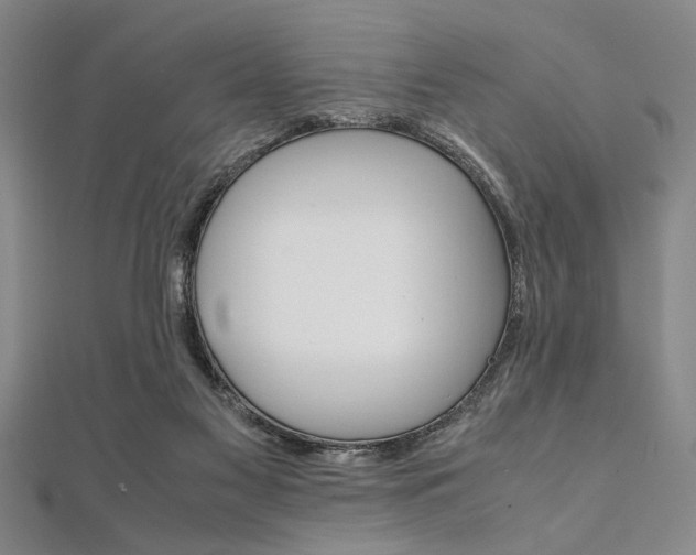 X0000112110117200908041159