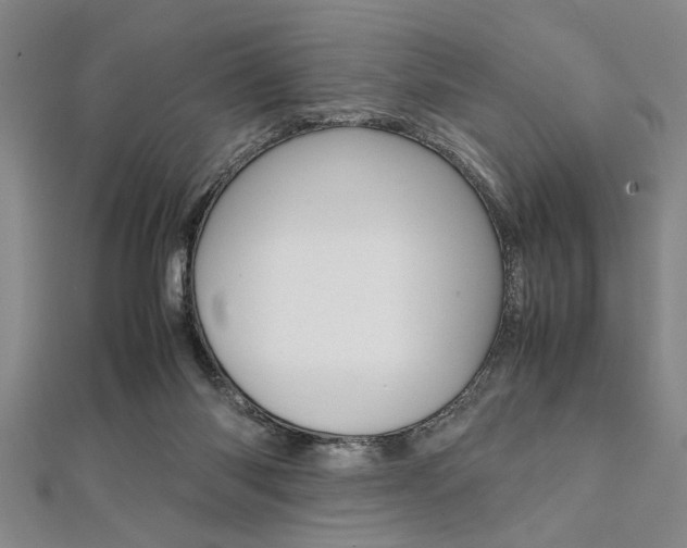 X0000112110118200908041159