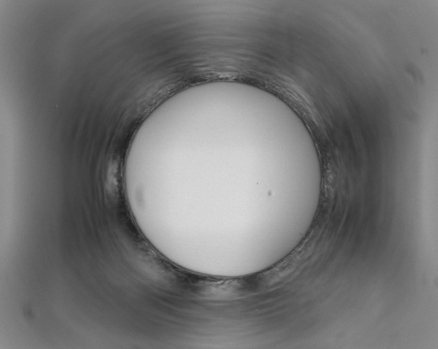 X0000112110122200908041159
