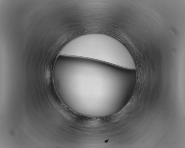 X0000112110124200908041159