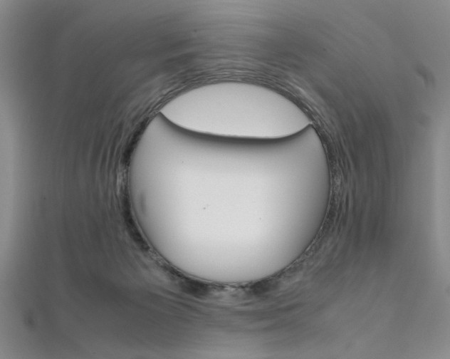 X0000112110125200908041159